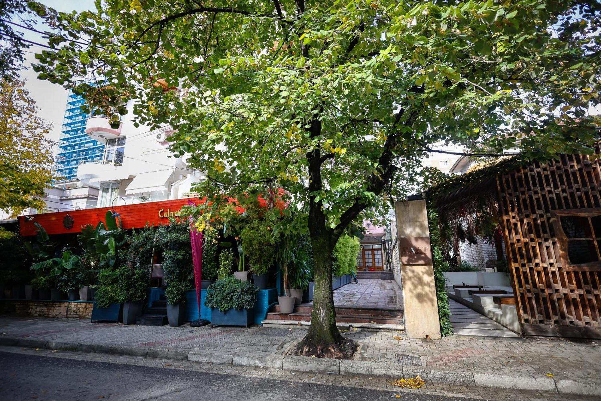 Noela'S Place Tirana Bagian luar foto